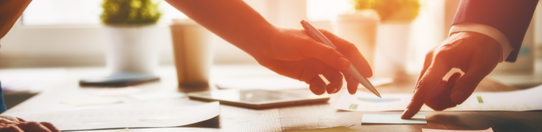 Выгоничанка ФХ